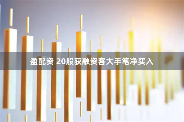盈配资 20股获融资客大手笔净买入
